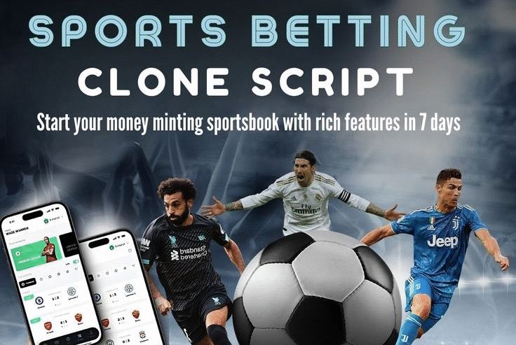Build Your Own Sports Platform – Book a Free Consultation Today!